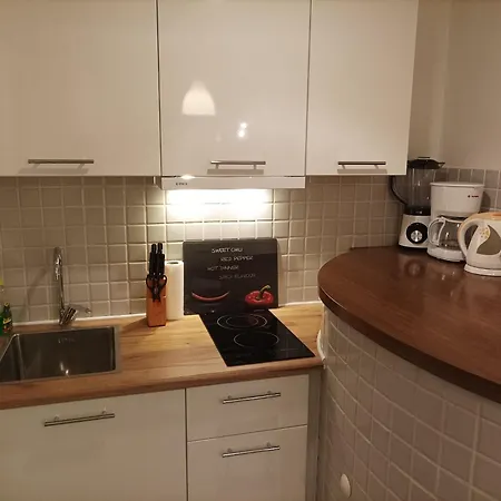 Ksenija - With Garden & Bbq Apartment *