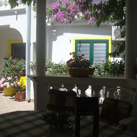 Ksenija - With Garden & Bbq Apartment Vodice