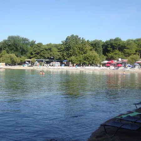 Apartment Ksenija - With Garden & Bbq Vodice