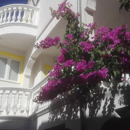 Ksenija - With Garden & Bbq Apartment *